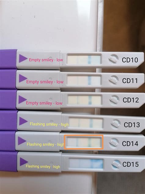 Gersh continues, “<b>ovulation</b> is essential for successful procreation and is the release of. . 2 lines on ovulation test but no smiley face pregnant